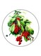 Fruit Printed Fridge Magnet White/Green/Red 5.5cm