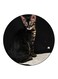 Cat Printed Fridge Magnet Multicolour