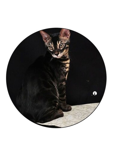 Cat Printed Fridge Magnet Multicolour