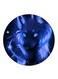 Wolf Printed Fridge Magnet Multicolour