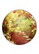 Nature Printed Fridge Magnet Round Multicolour