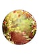 Nature Printed Fridge Magnet Round Multicolour