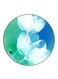 Flowers Printed Fridge Magnet Round Multicolour