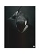 Killer Whale Metal Plate Poster Black 15x20centimeter