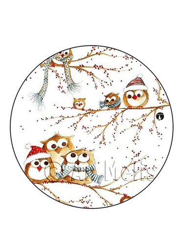 Owls Printed Fridge Magnet Multicolour