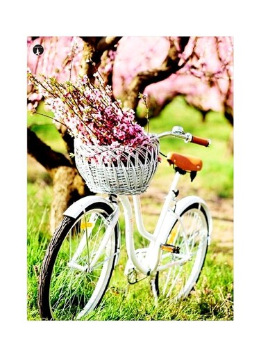 Bicycle Themed Metallic Plate Green/White/Pink 20x15cm