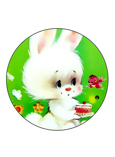 Rabbit Printed Fridge Magnet Multicolour