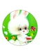 Rabbit Printed Fridge Magnet Multicolour