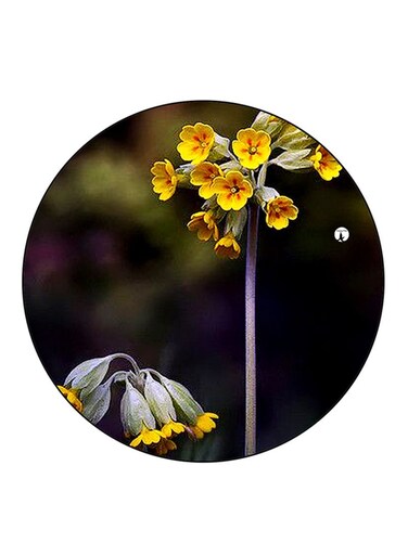 Flowers Printed Fridge Magnet Multicolour