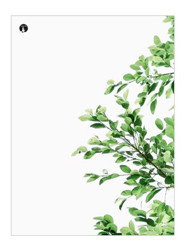Printed Decorative Plate Green/White 15 x 20cm