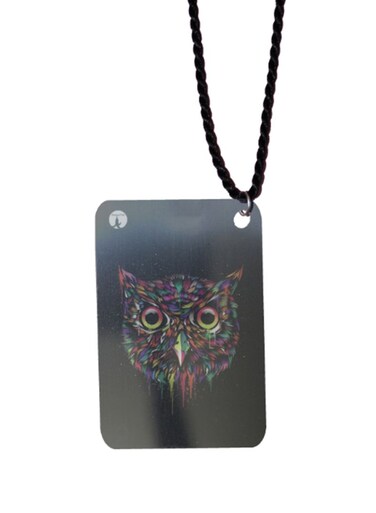 Owl Printed Car Mirror Pendant