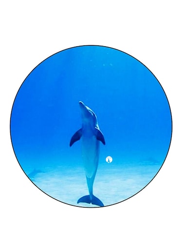 Dolphin Printed Fridge Magnet Blue