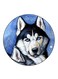 Dog Printed Fridge Magnet Multicolour
