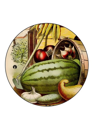 Food Printed Fridge Magnet Multicolour