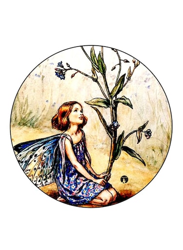 Fairy Printed Fridge Magnet Round Multicolour