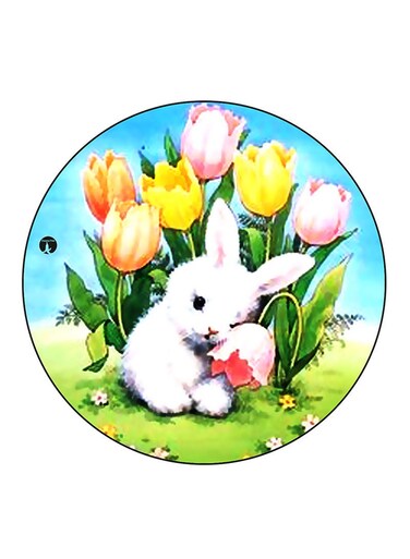 Rabbit Printed Fridge Magnet Multicolour