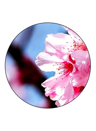 Flower Printed Fridge Magnet Pink/Blue/Red 5.5cm