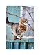 Printed Fridge Magnet Multicolour 8.5cm