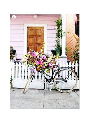 Cycle Printed Plate Pink/Brown/White 20x15cm