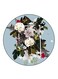 Flowers Printed Fridge Magnet Multicolour
