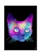 Metal Plate Poster Multicolour 15x20centimeter