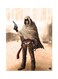 Video Game Assassin's Creed Metal Plate Poster Multicolour 15 x 20cm