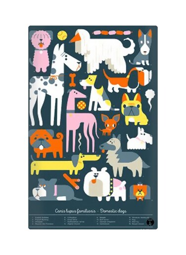Printed Fridge Magnet Multicolour 8.5x0.4x5.5cm
