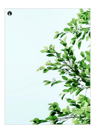 Printed Decorative Plate Green/Blue 15 x 20cm