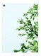 Printed Decorative Plate Green/Blue 15 x 20cm