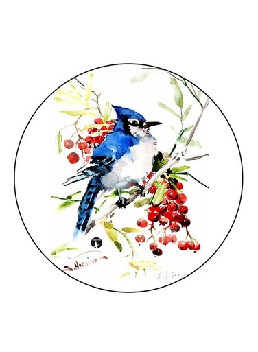 Bird Printed Fridge Magnet Round Multicolour