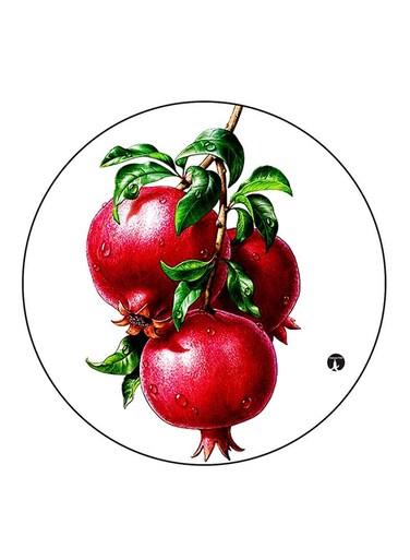 Pomegranate Printed Fridge Magnet Round Multicolour