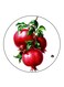 Pomegranate Printed Fridge Magnet Round Multicolour