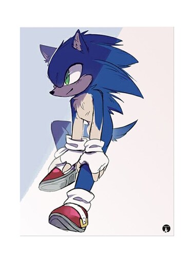 Video Game Sonic Metal Plate Poster Multicolour 15x20centimeter