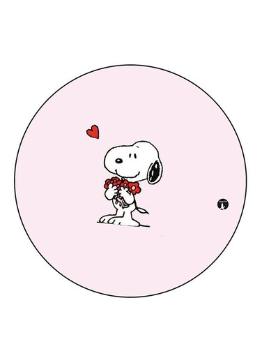 Snoopy Printed Fridge Magnet Multicolour