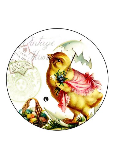 Chick Printed Fridge Magnet Multicolour