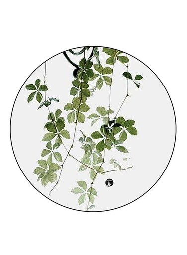 Plant Printed Fridge Magnet Multicolour
