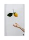 Printed Fridge Magnet Multicolour 8.5x0.4x5.5cm