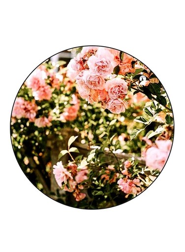 Flowers Printed Fridge Magnet Multicolour