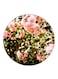 Flowers Printed Fridge Magnet Multicolour
