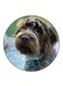 Dog Printed Fridge Magnet Multicolour