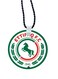 Football Club Ettifaq Printed Keychain Multicolour