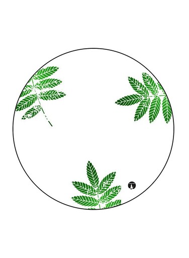 Leaves Printed Fridge Magnet Green/White 5.5 x 5.5cm