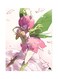 Metal Plate Of The Anime Digimon Poster Multicolour