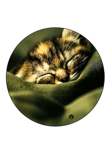 Cat Printed Fridge Magnet Round Multicolour