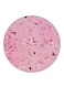 Confetti Printed Fridge Magnet Multicolour