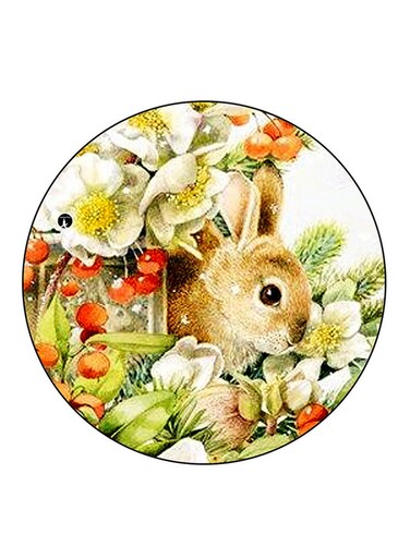 A Rabbit Printed Fridge Magnet Multicolour