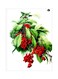 Fruit Themed Metallic Plate Green/White/Red 20x15cm