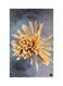 Printed Fridge Magnet Multicolour 8.5x0.4x5.5cm