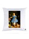 Printed Pillow Case Polyester White 30x30cm
