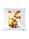 Printed Pillow polyester Multicolour 30x30cm